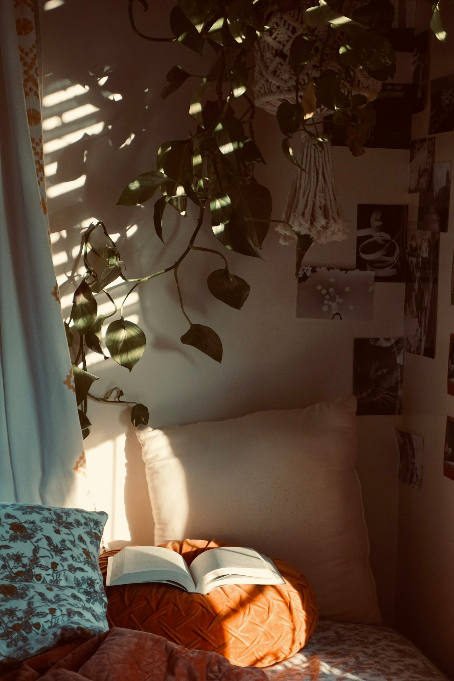 The Quiet Beauty Found in Simple Routines